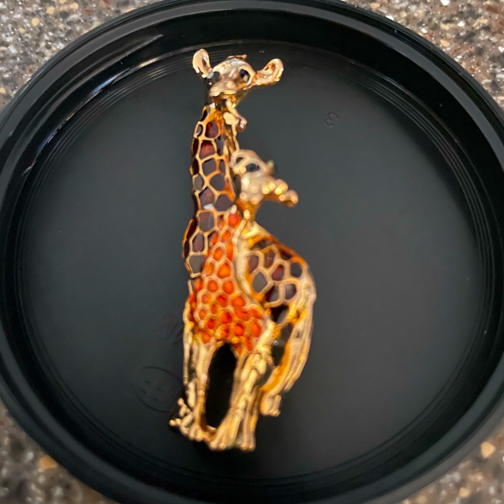 Vintage Rhinestone Family Giraffe Brooch 
$10 or bundle 3/$25